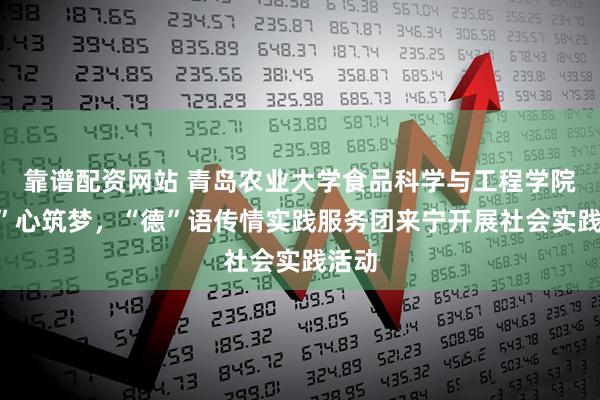靠谱配资网站 青岛农业大学食品科学与工程学院“莲”心筑梦，“德”语传情实践服务团来宁开展社会实践活动